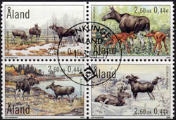 171-4.jpg